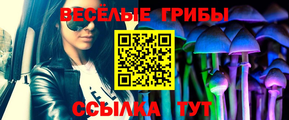 Галлюциногенные грибы мицелий Избербаш